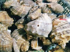 -云南巷海鲜大咖·可加工海鲜