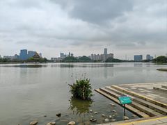 -顺峰山公园