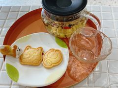 -柴务处·柴犬主题狗咖