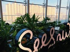 -Seesaw Coffee(朝阳大悦城店)