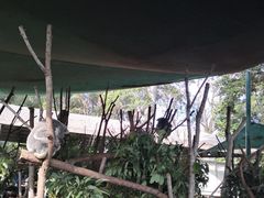 -可伦宾野生动物保护区