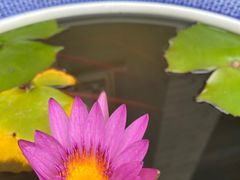 -西安市广仁寺