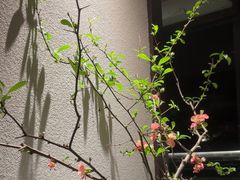 -花锦堂·隐庐