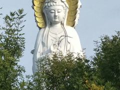 -白洋淀景区