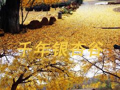 -曾侯乙墓遗址博物馆