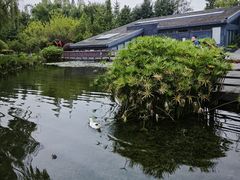 -成飞公园