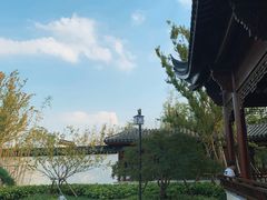 -上海滨江森林公园