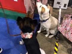 -香港会议展览中心演讲厅