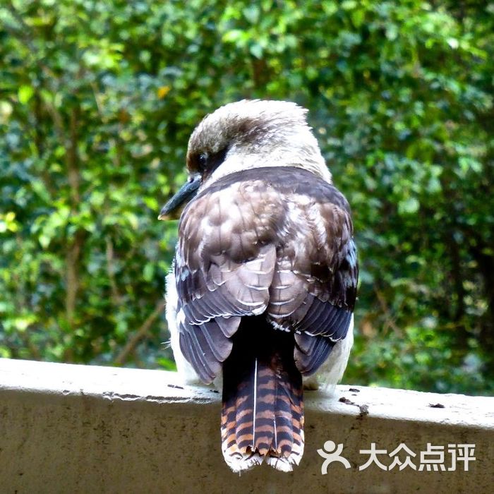 fred hollows reserve