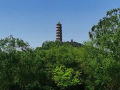 -北坞公园