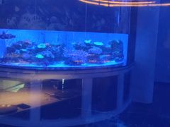 -上和臻品中国菜(花园街店)