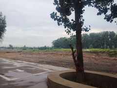 -乌素图国家森林公园