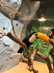 -Zoolung Zoolung动物主题公园(海信广场店)