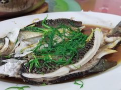 -银峰农庄·特色烧鸡·鲜无花果浸鸡