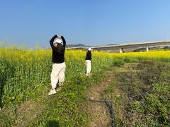 -光明小镇欢乐田园