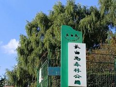 -长白岛森林公园