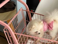-汪说·狗咖(旺城大厦店)