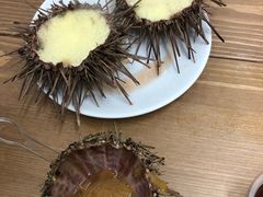 海胆鸡蛋糕-海胆小馆(东北水饺·春柳店)