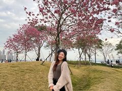 -深圳湾万象城(南山店)