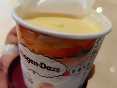-哈根达斯(万象城店)