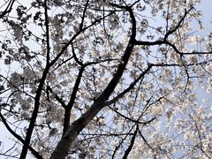 -徐家汇源景区-衡山公园