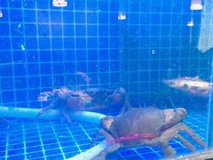 -姜君·千岛湖鱼头馆(浦东大道店)