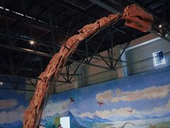 -自贡恐龙博物馆