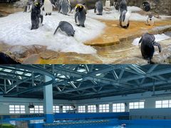 -香港海洋公园