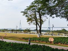 -芒洲湿地公园