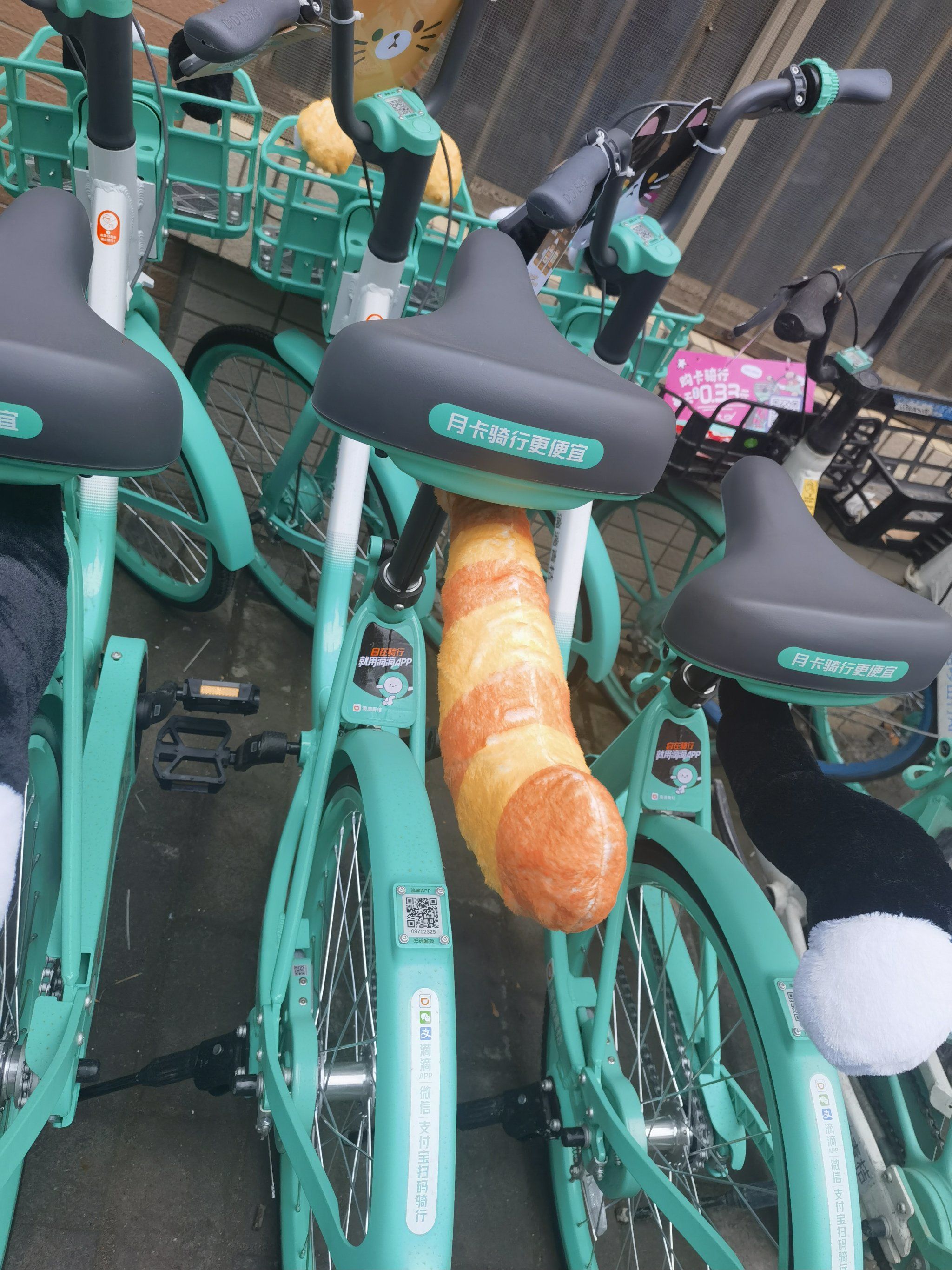 超级萌的猫猫车