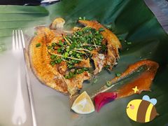 傣族香茅草烤鱼-雀舞云南菜(乐客城店)