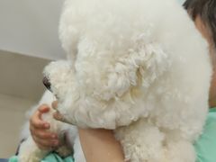 -北京观赏动物医院·24小时大型综合·猫专科·异宠专科