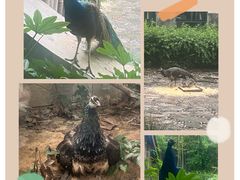 -苏州环秀晓筑养生度假村