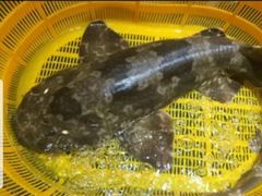 -怡园酒家(陈政路店)