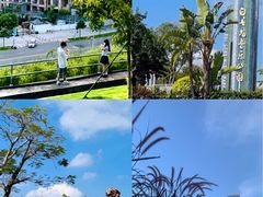 -白石龙音乐公园