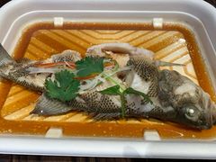 -盒马鲜生(大成店)