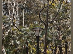 -人民公园-相亲角