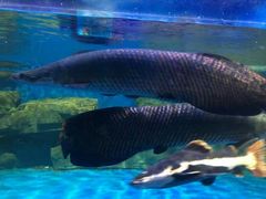 -石林冰雪海洋世界