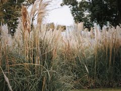 -上海山野camping·户外天幕烧烤·团建拓展营地