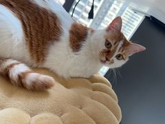 -拜鲁耶动物诊疗中心·宠家动物医院