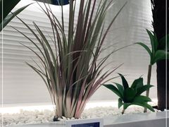 -兰湘子·湘菜小炒(崂山丽达店)