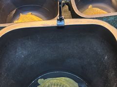 -烹湘·鲜炒湖南土菜(海珠店)