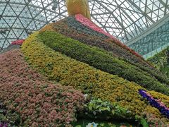 -花之城