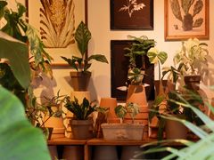 -自由生长植物工作室(深港花卉中心店)