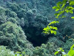 -海口火山口国家地质公园