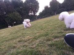 -杭州城北体育公园