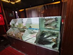 -朝馆·市井本味菜