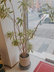 -WENDY·温迪皮肤管理