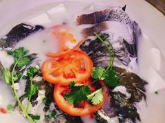 -全乐鱼馆·淳牌有机鱼直营店