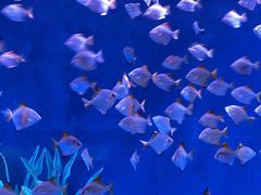 -沈阳海洋探索中心